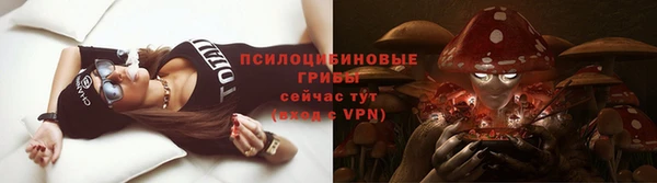 прущая мука Елабуга