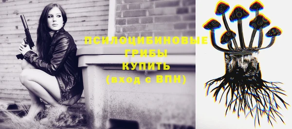 прущая мука Елабуга