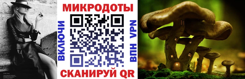 Купить где  Красноармейск  Галлюциногенные грибы Cubensis 